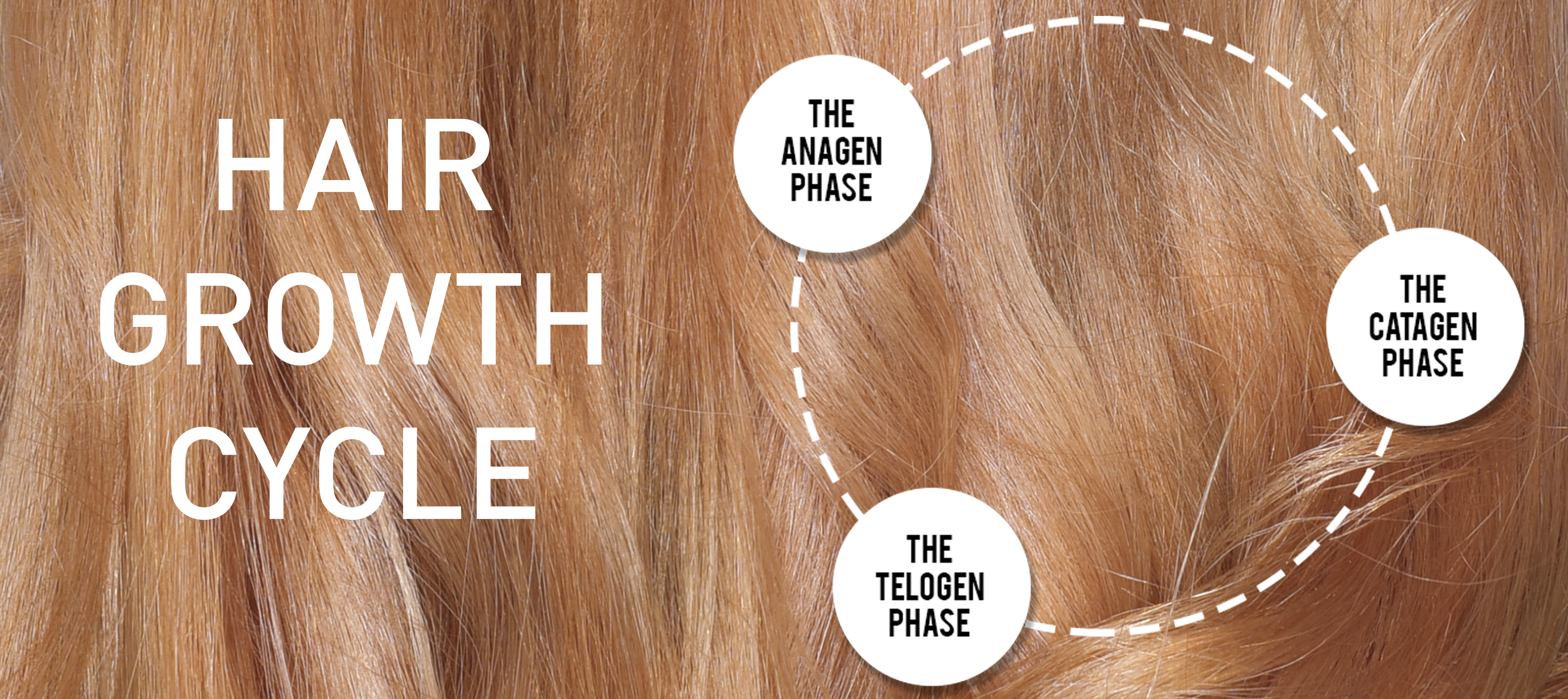 What S New In Hair Biology