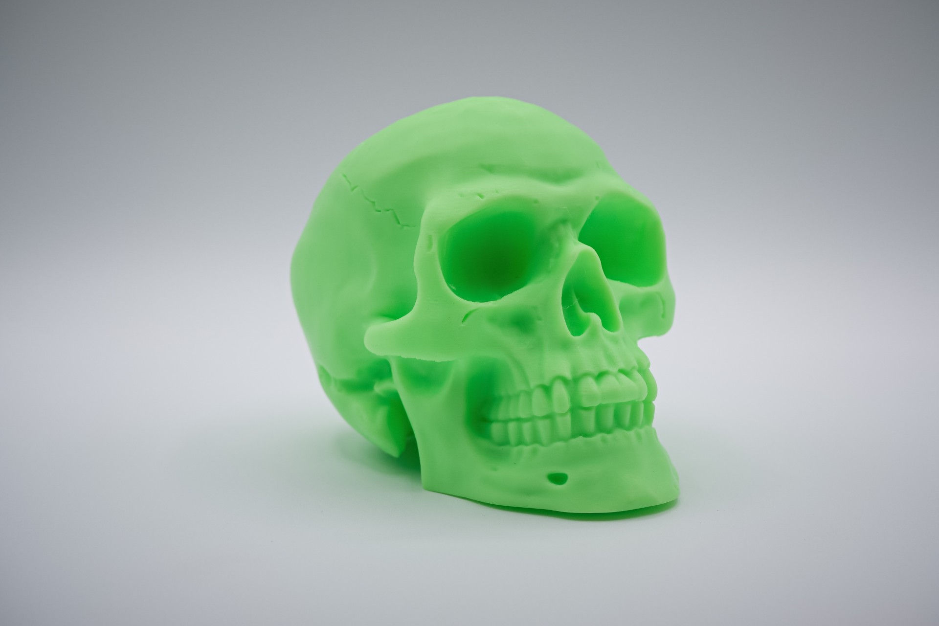 3D Printed Decorative Skull