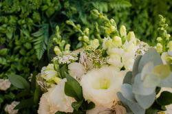 Flores em Detalhe