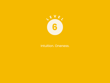 Energy Level 6 of the Energy Leadership Index: Intuition. Oneness