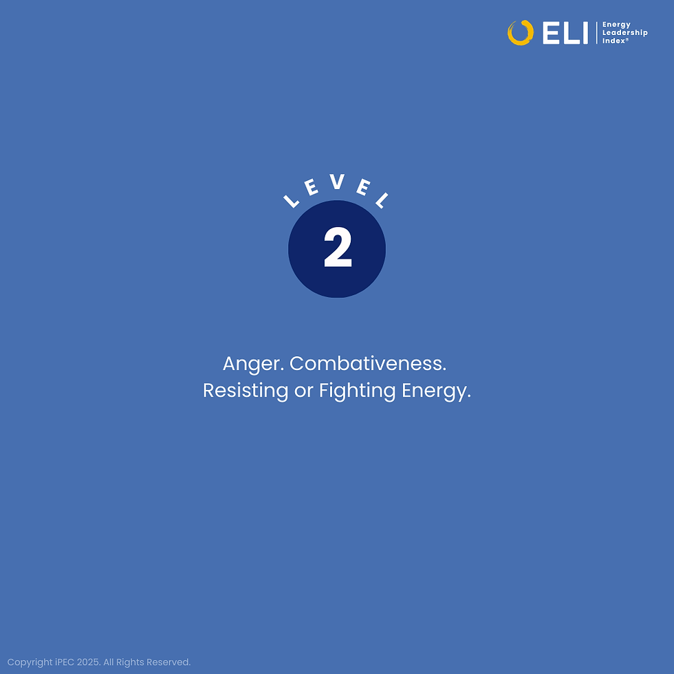 Level 2 of the Energy Leadership Index: Anger. Combativeness. Resisting or Fighting Energy.