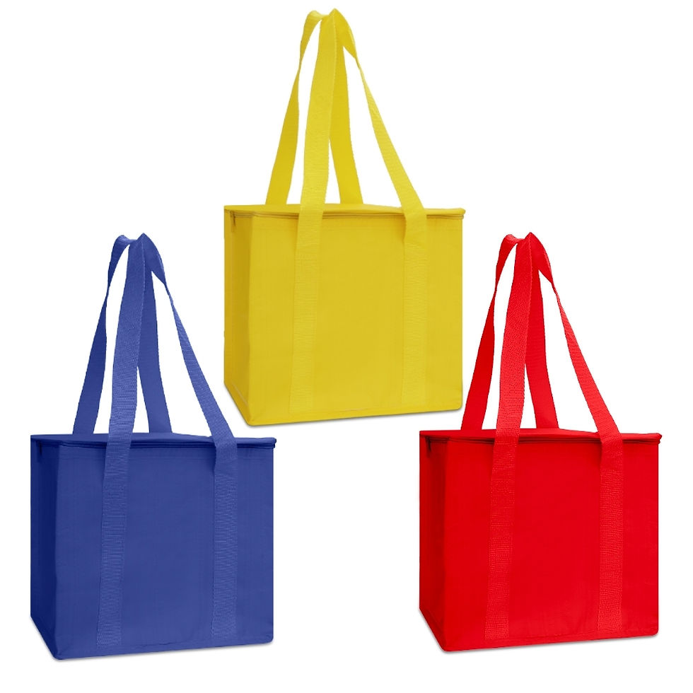 Bolsa Térmica 12 Litros - O@02697