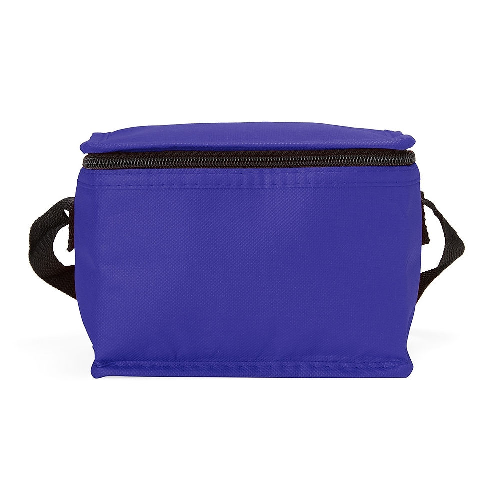 Miniatura: Bolsa Térmica 5 Litros - 06047