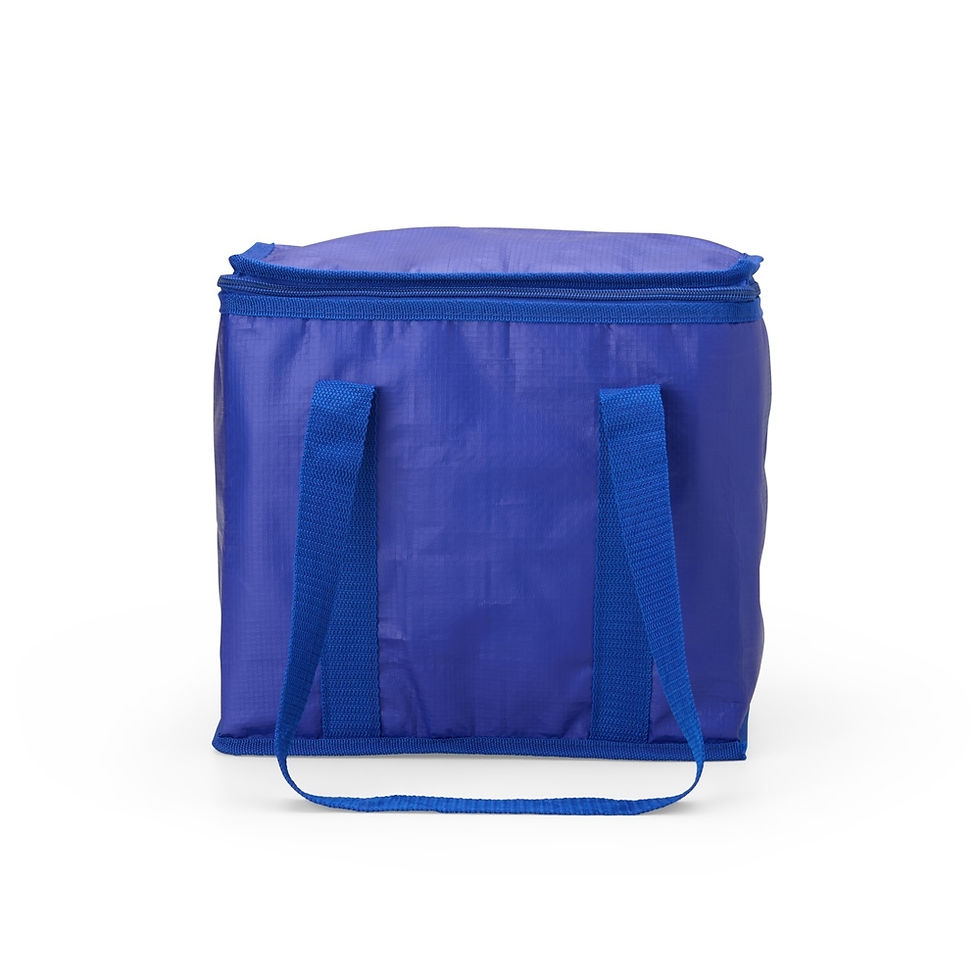 Miniatura: Bolsa Térmica 17L - 02697