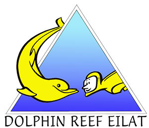 Dolphin Reef Logo