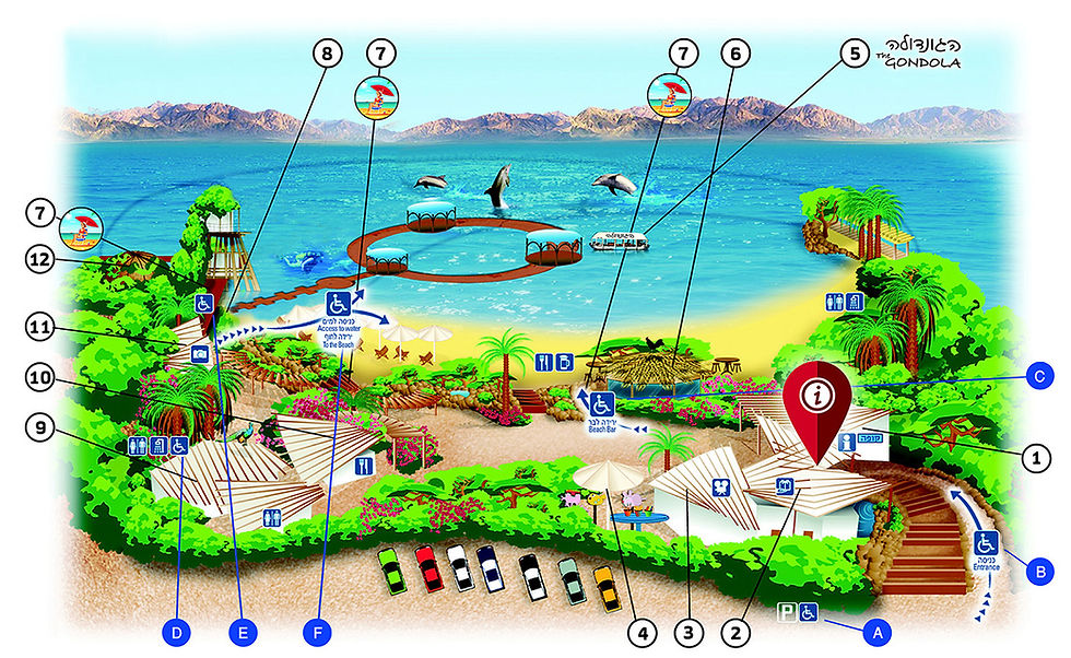 A visual map of dolphin reef