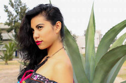 Modelo típico de Chiapas