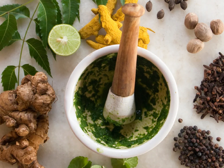 Ayurveda as Clinical Companion: A Shared Language of Herbal Observation