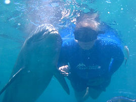 zoe training a dolphin