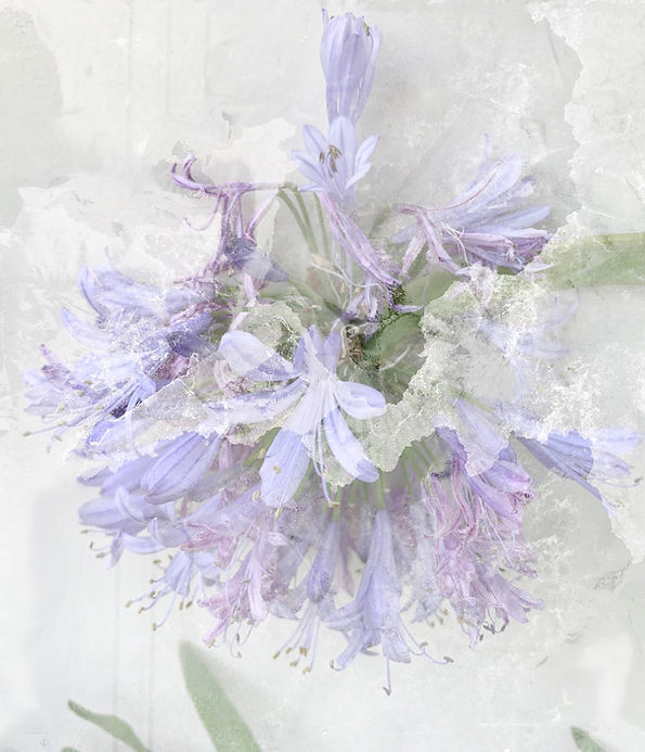 Gently, we grow | Color Photography