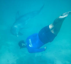 zoe dolphin training