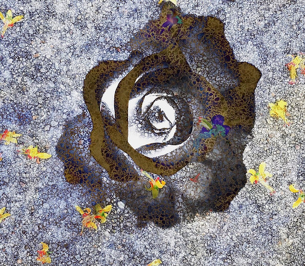 The Wisdom is Within | Color Photography