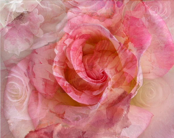 Circling in you are endless possibilities | Color Photography