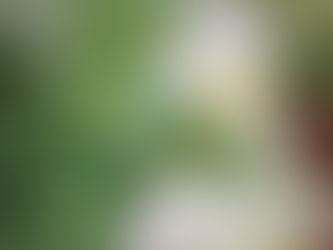 1月の営業のご案内