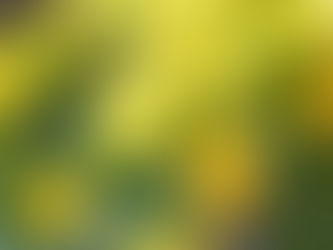 臨時休業について