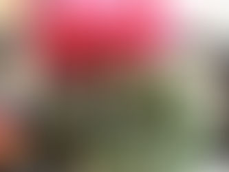 12月の営業のご案内