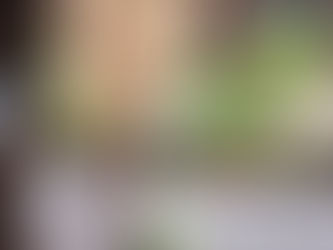 山茱萸(サンシュユ)