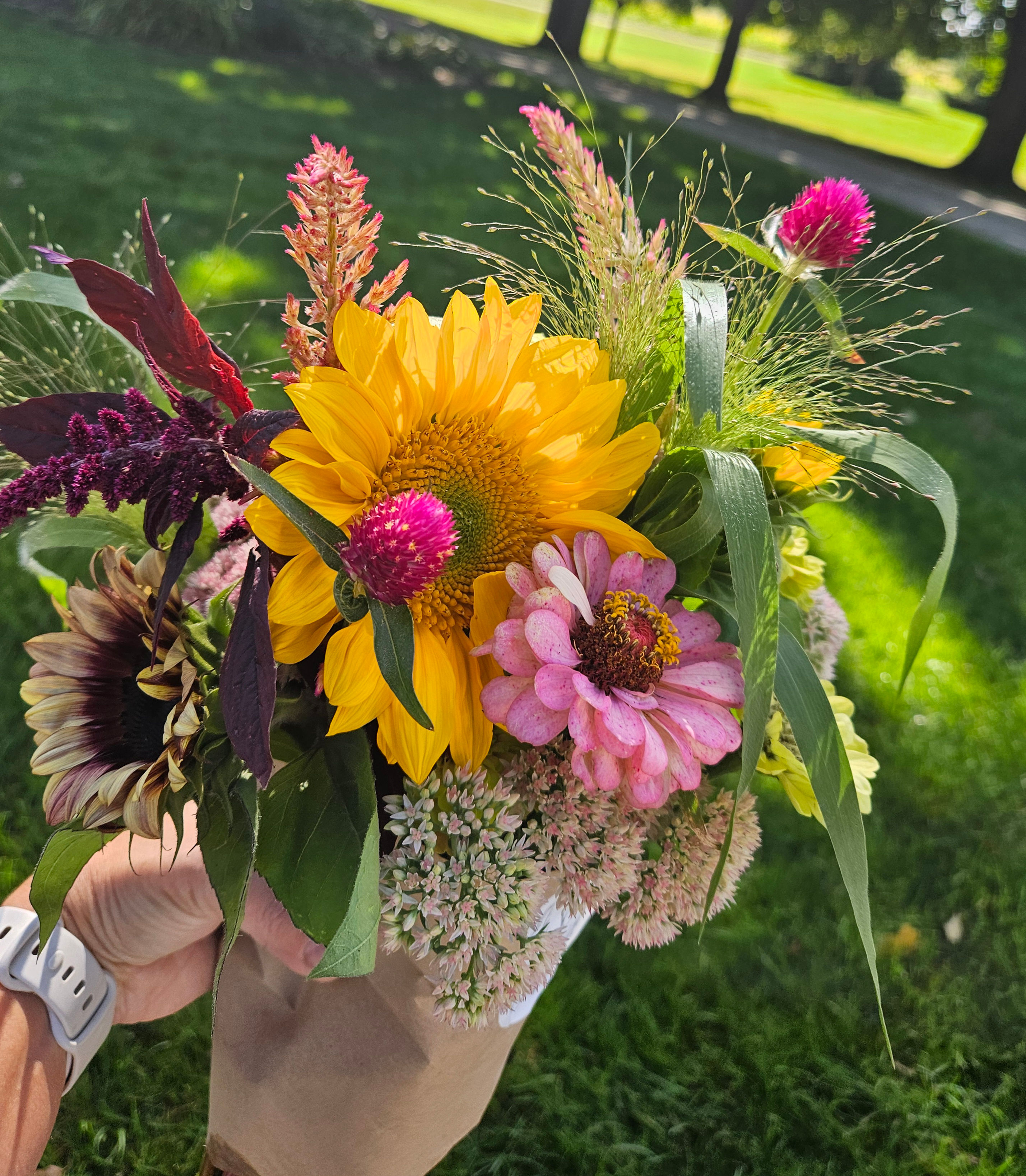 4-week Summer Subscription