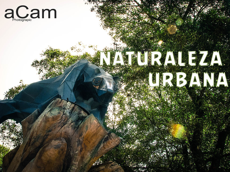 Naturaleza Urbana El Ejido