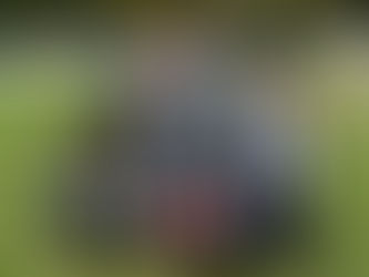 SV SW Lieboch U7 – Heimturnier in Ligist