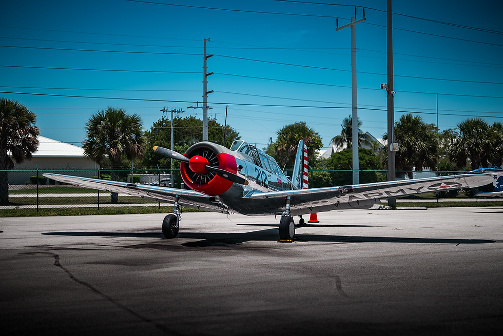 Photo by Chris Gleadall