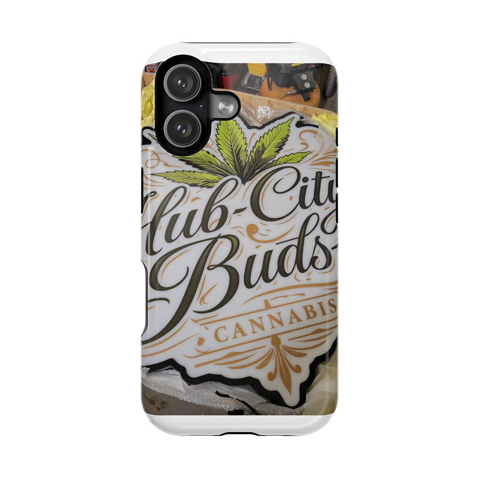 Thumbnail: Magnetic Impact-Resistant Cases