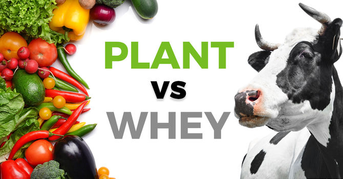 Plant Protein vs. Whey Protein: Which Is Best for Endurance Athletes?