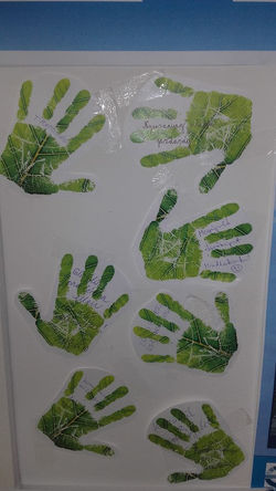 18342642_10207901464888333_8842352514524781708_n