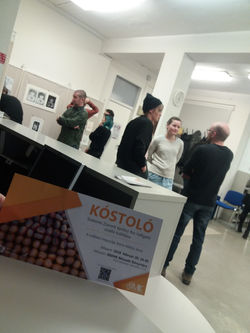 Kóstoló