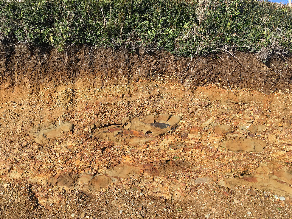 Chiloe_coupe_talus