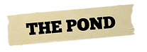 Pabst Pond Hockey, Pond Hockey Tournament, Pond Hockey