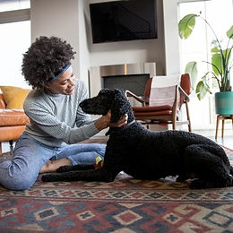 What are the BEST Dog Training Treats?