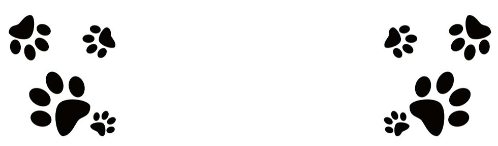 dog paw border