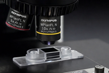 Weixin Image_20260109002421_392_1453.png