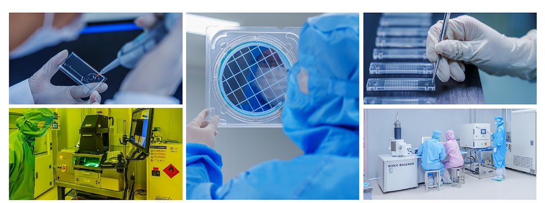 MEMS and PDMS Facilities.png