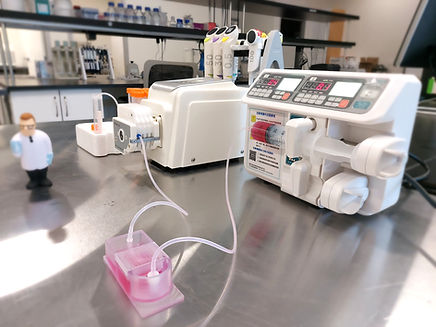 OOC Starter Kit System_edited.jpg