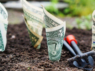 Povestea Grădinarului Bogat – Înțelepciunea despre prosperitate dintre tată și fiu