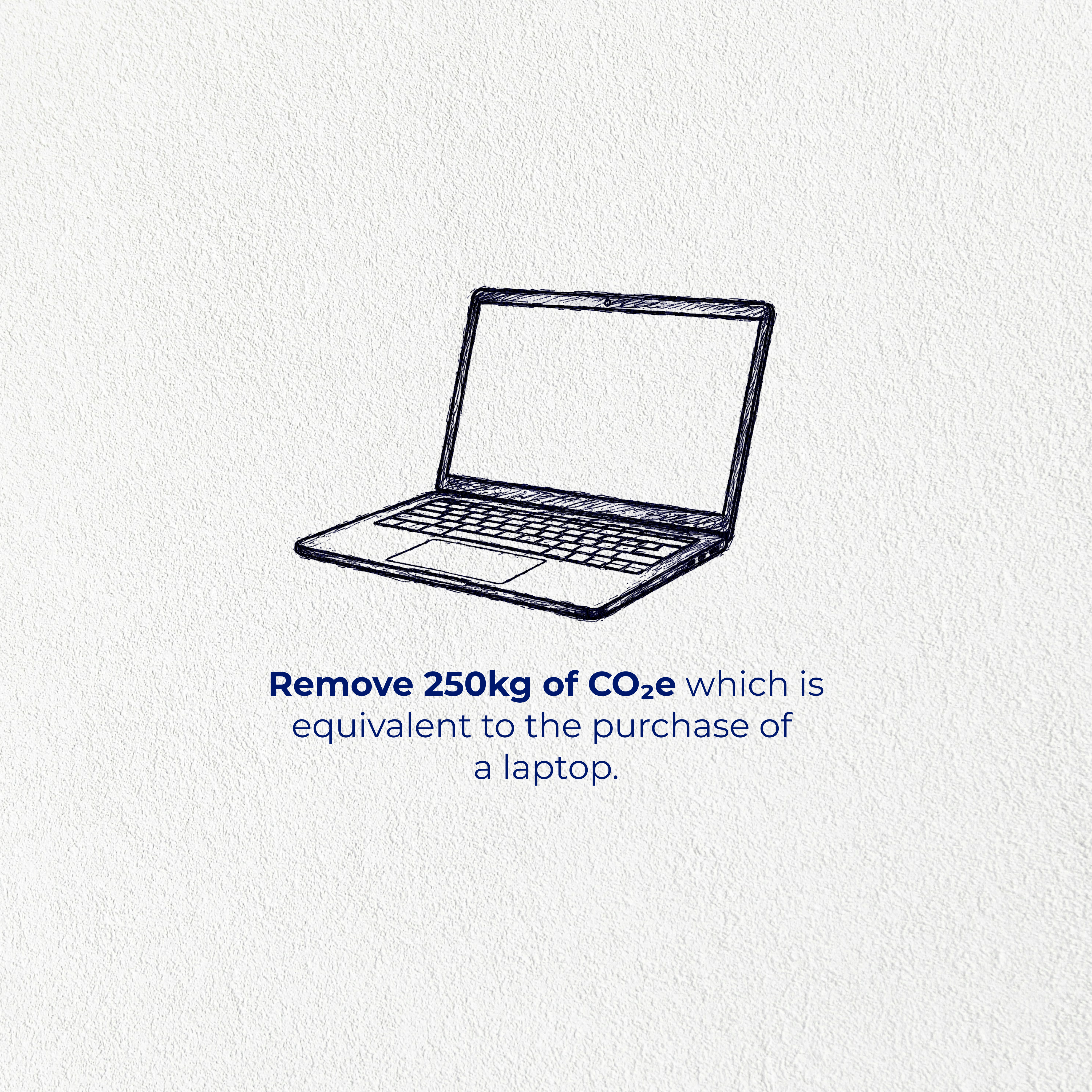 250kg of removed CO₂e