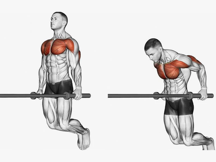 How to do chest dip like a pro