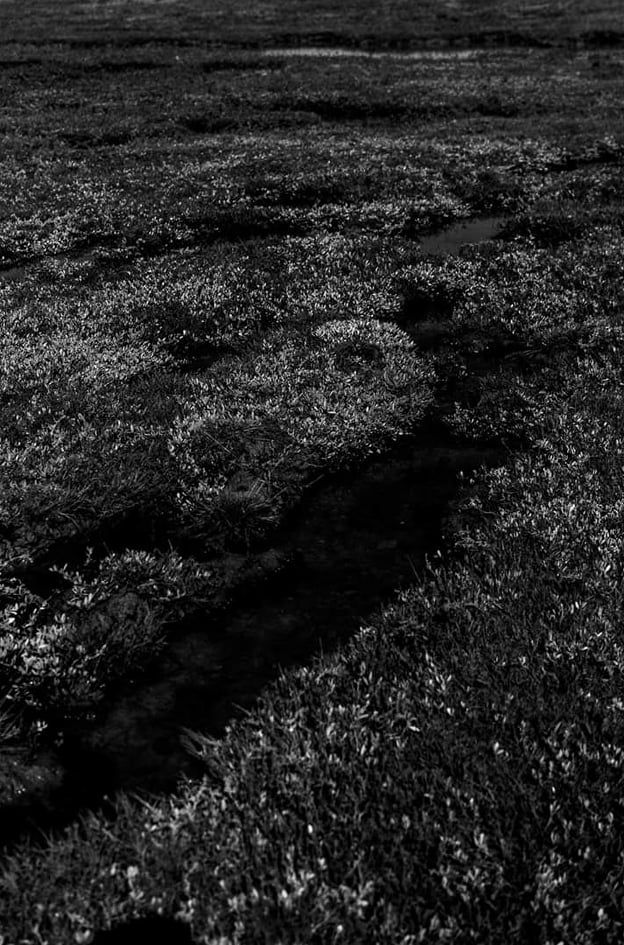 Sortir du trou noir