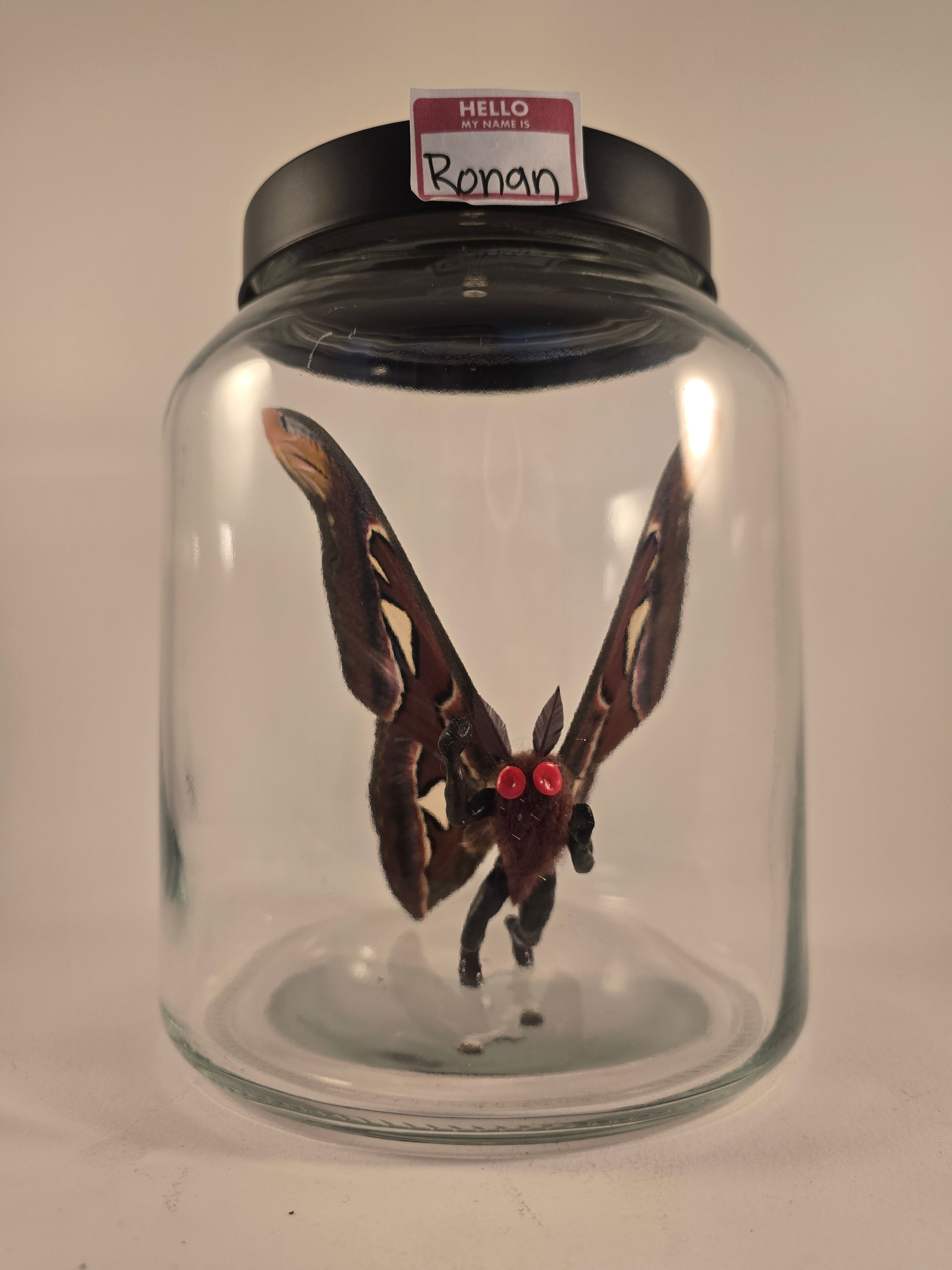 Mothman Ronan