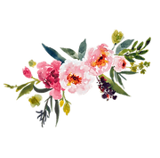 5895cb2ccba9841eabab605f.png