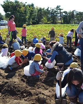 11月_平塚幼稚園.jpg