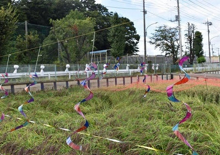 かかし立て