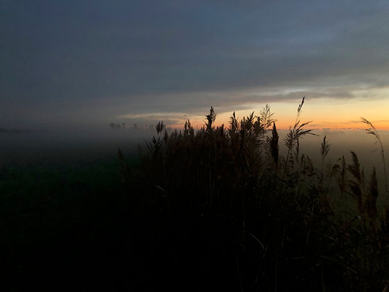 Abendstimmung.jpeg