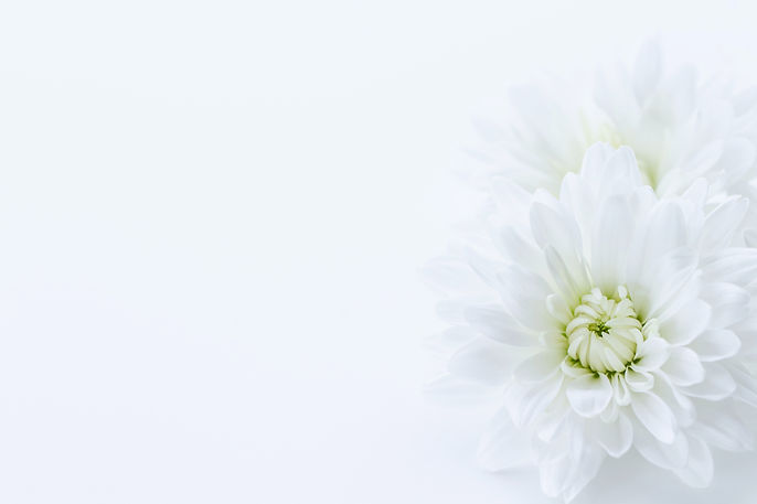 AdobeStock_295983608.jpeg