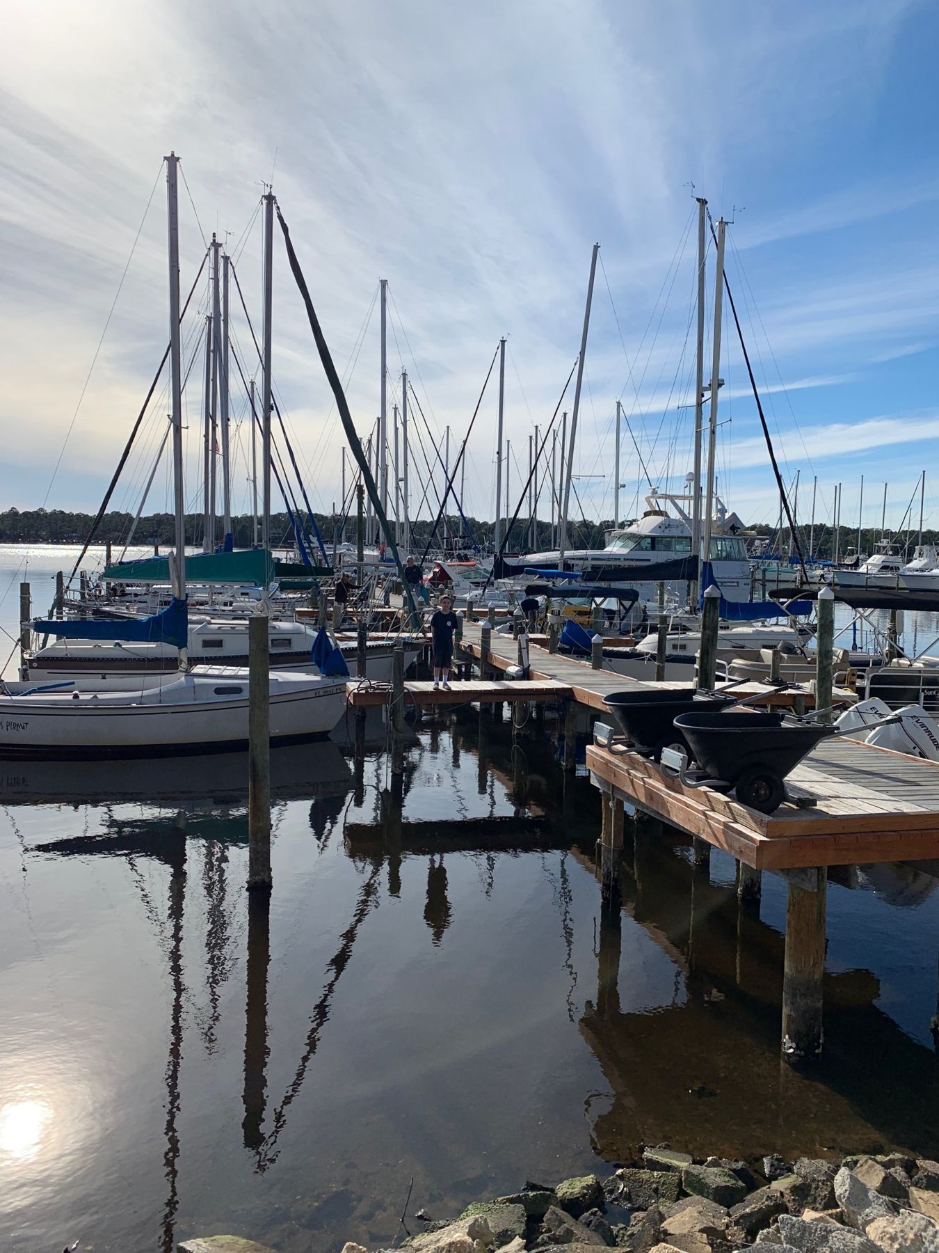 Sailboats tied up along the marina's wooden docks