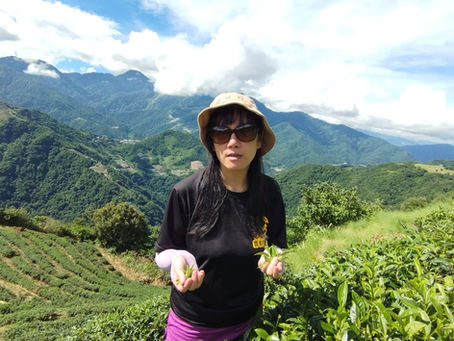 "Follow the Fragrance"...