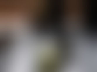 Zartgrün wie der Frühling....