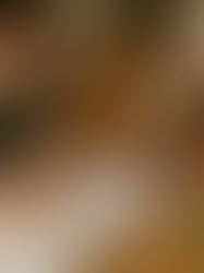 Fortschritte durch Tierliebe: Eine Reise mit meiner Tochter